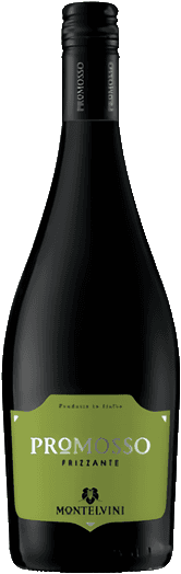 Frizzante Promosso Montelvini