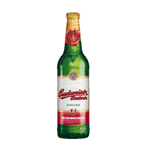 Pivo světlý ležák 12° Budweiser Budvar